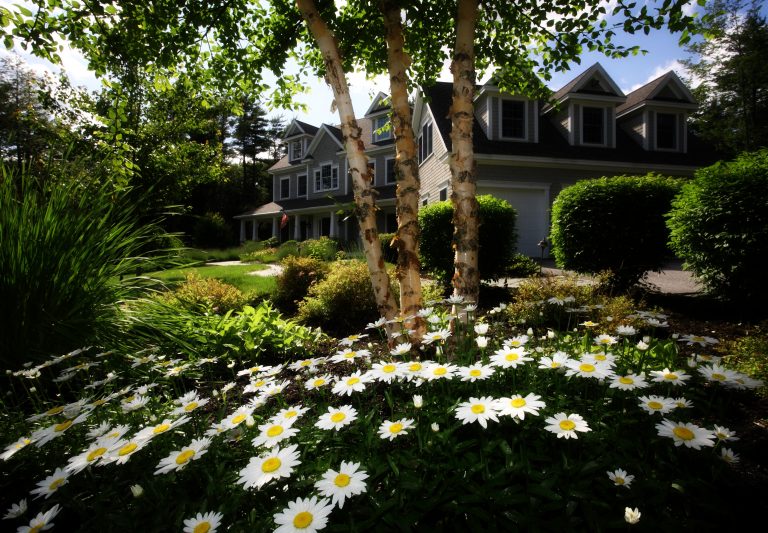 home Archives Chad T. Wilson Law