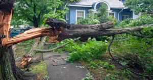 Windstorm damage insurance claim.