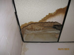 Water-Damage-Claims-Lawyer-in-Coral-Centennial-CO