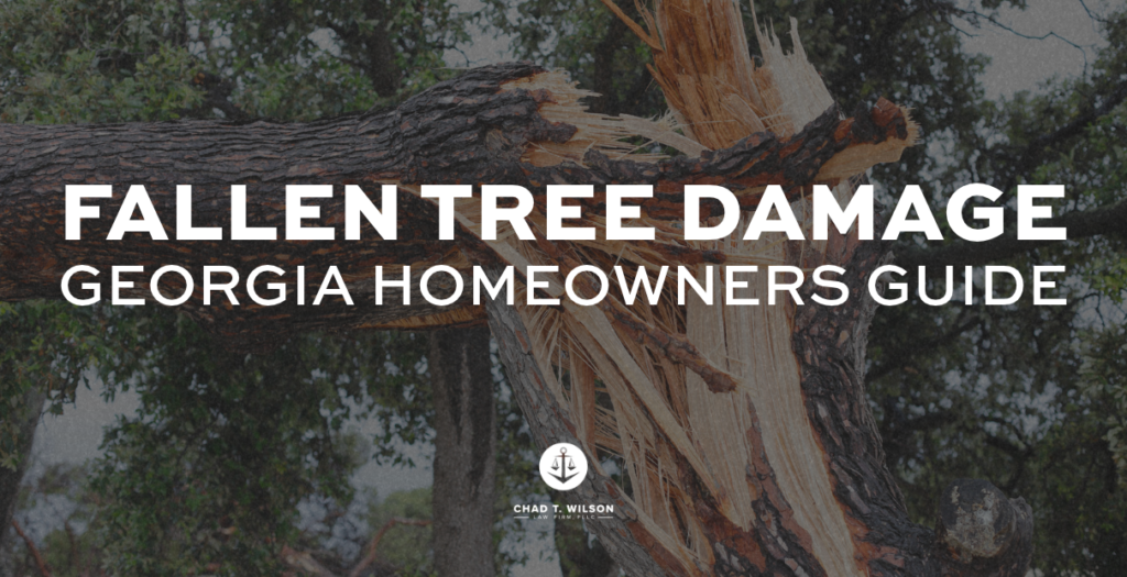 fallen tree damage insurance claim georgia